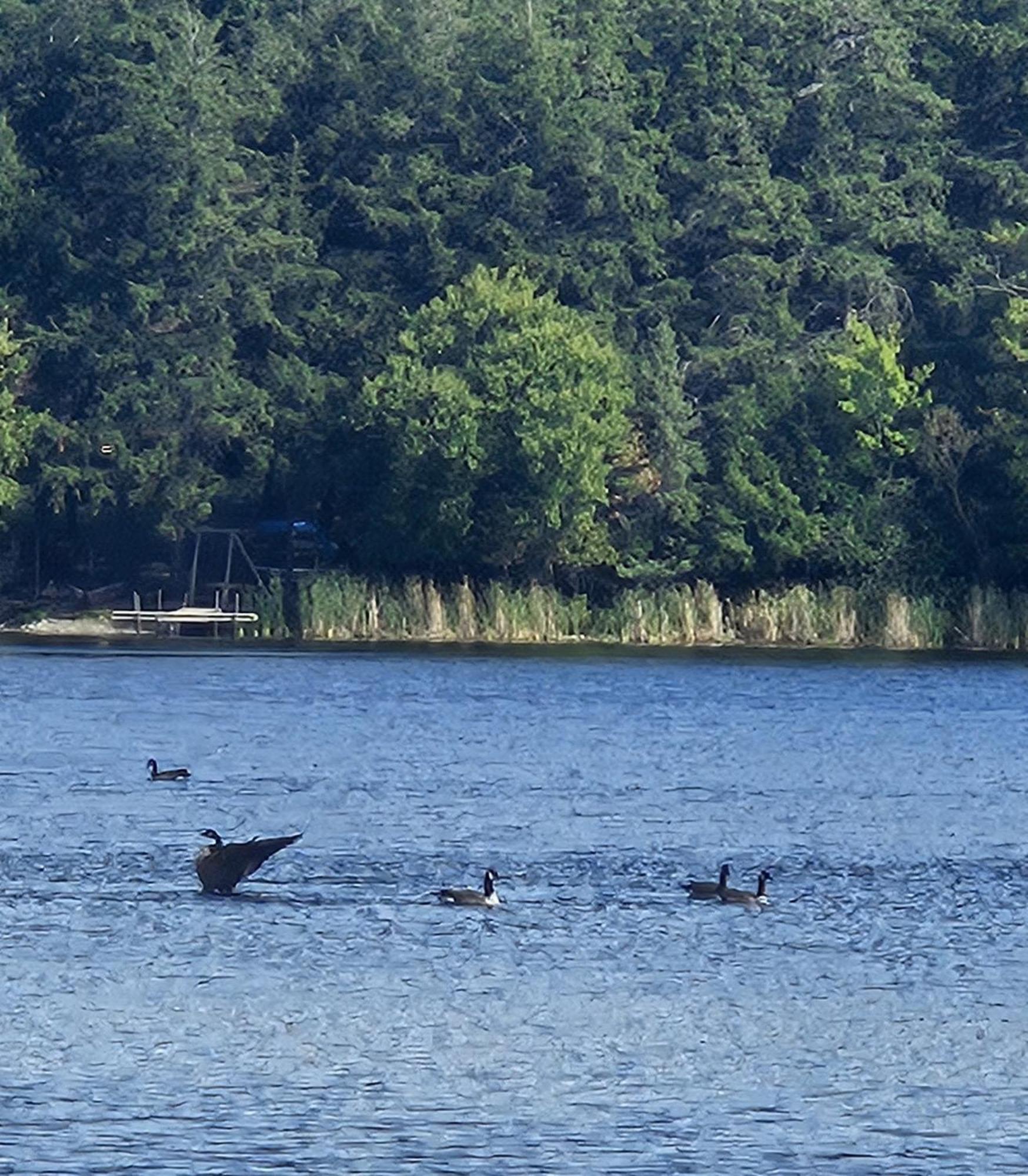 Lakeshore Motel Ice Lake Iron River Εξωτερικό φωτογραφία