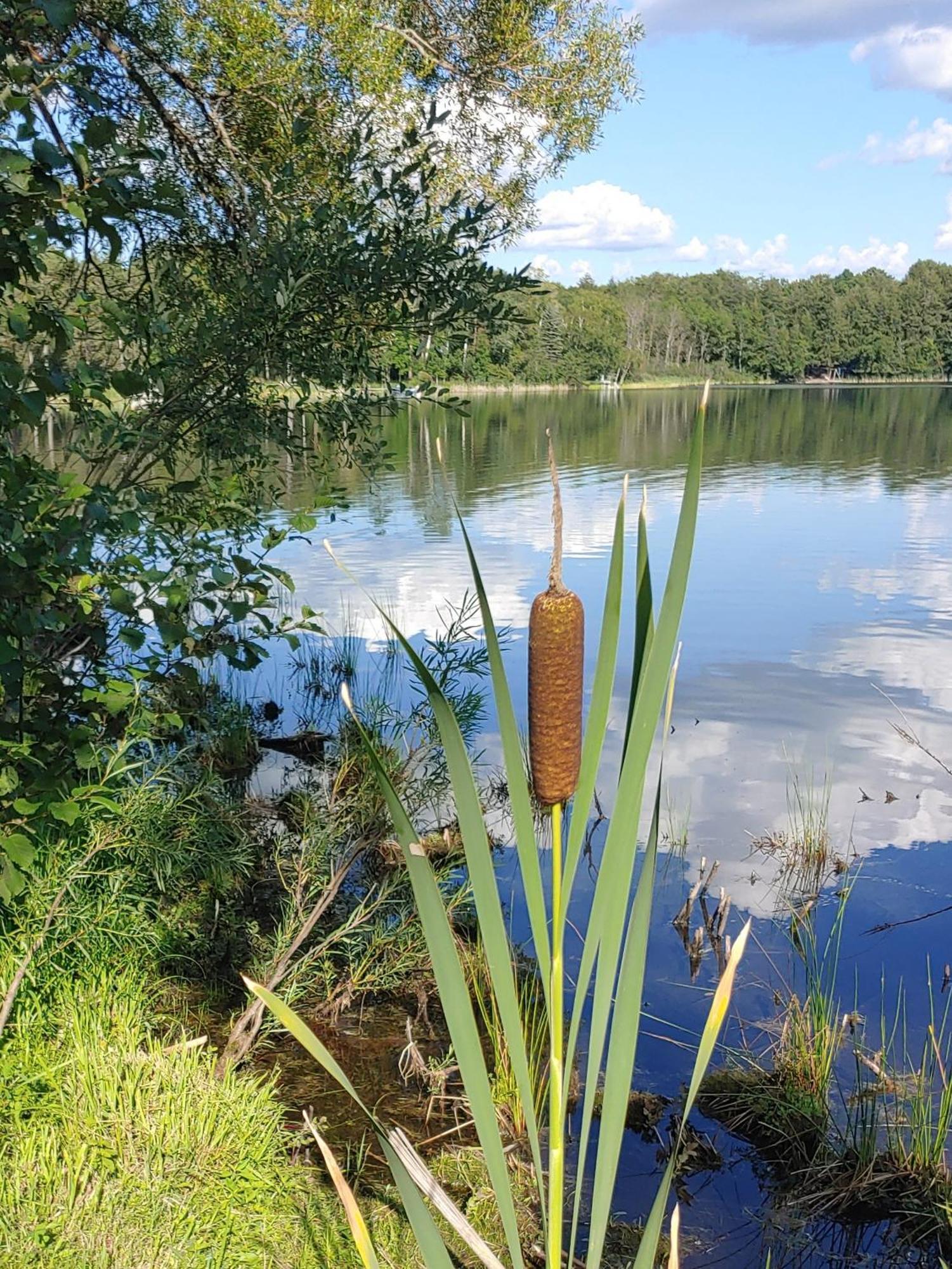 Lakeshore Motel Ice Lake Iron River Εξωτερικό φωτογραφία